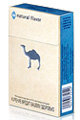 Camel Essential Blue