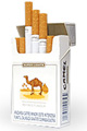 Camel Silver Box