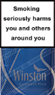 Winston Compact Plus Silver